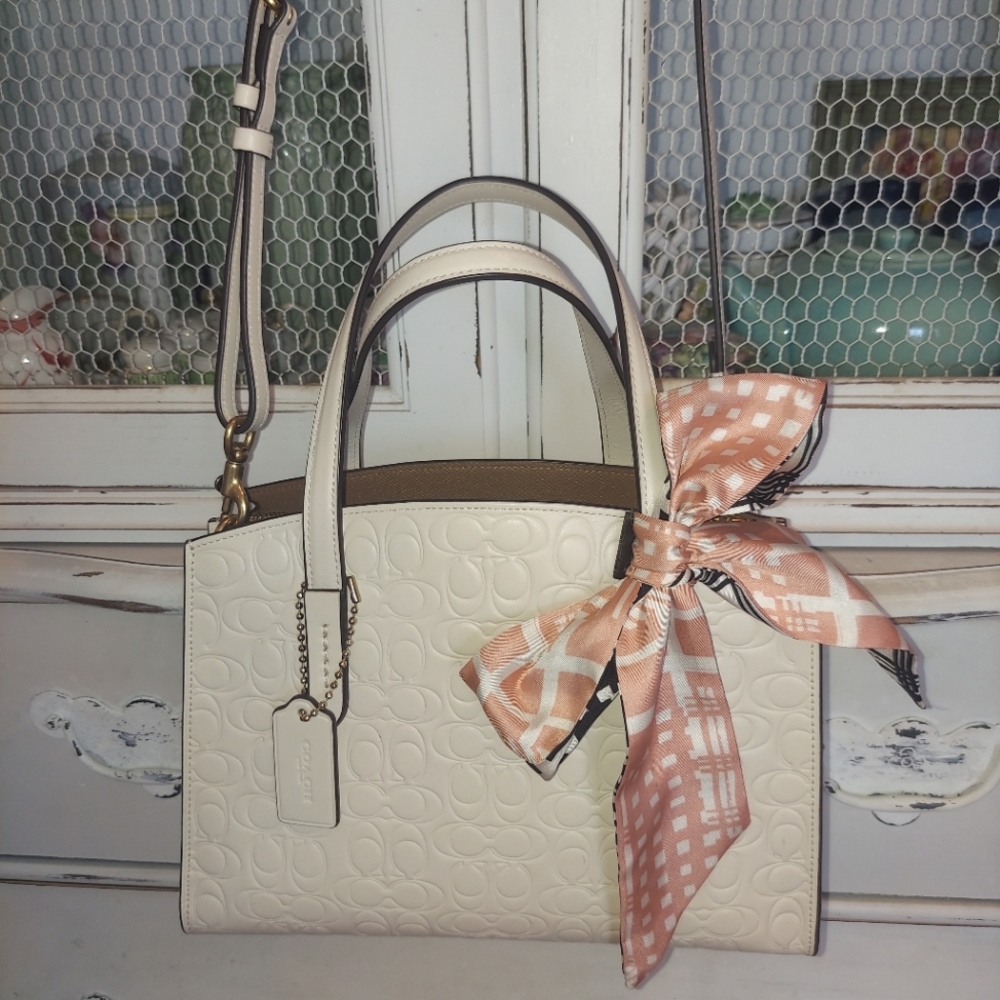 Coach Signature Black and Peach Wild Stripe Silk Skinny Scarf